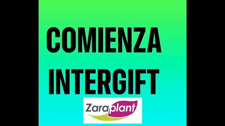 Instagram-🌺¡Hoy comienza nuestra exposición de Flores Artificiales en Intergift! 🌼zaraplant flores plantas artificiales