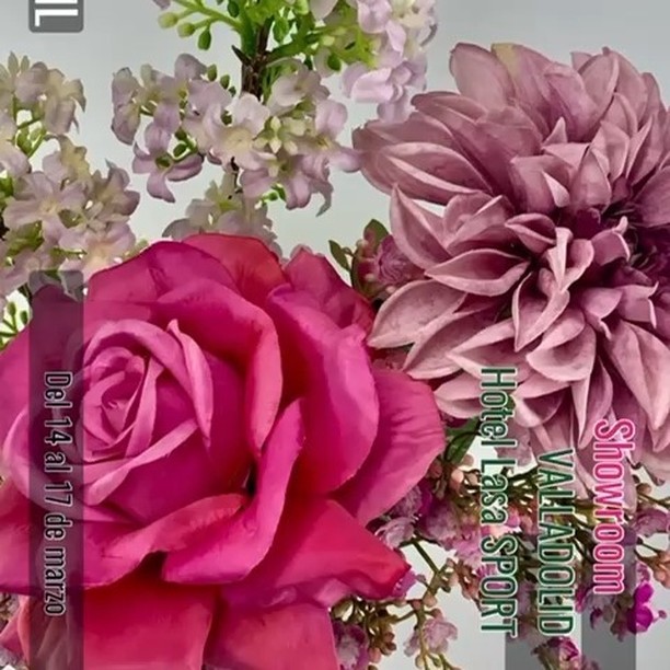 Instagram-💐Siguiente parada, exposición de flores y plantas artificiales en Valladolid. Estamos encantados de invitarte y que descubras con nosotros todas nuestras únicas y exclusivas novedades. zaraplant flores plantas artificiales