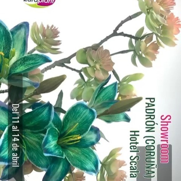 Instagram-🎨 Ya estamos nuevamente cargados de novedades para informaros de que os invitamos a nuestra exposición de flores artificiales en Padrón 🌺✨ zaraplant flores plantas artificiales