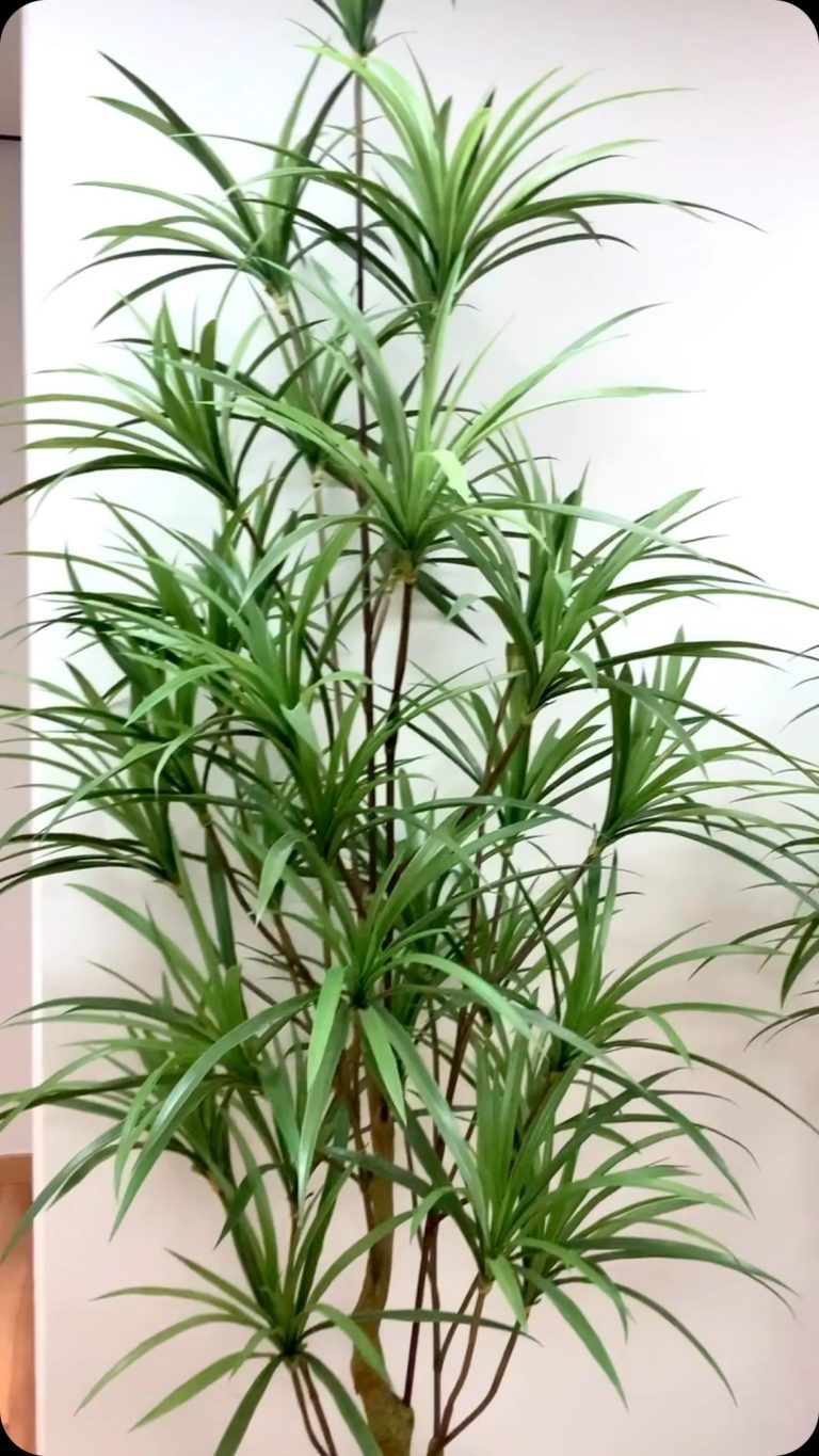 Instagram-🌳Abran paso a nuestras plantas, que también vienen con todo su protagonismo y color a hacer que brilles y disfrutes al máximo con nuestras diferentes variedades y tonalidades🌳 zaraplant flores plantas artificiales