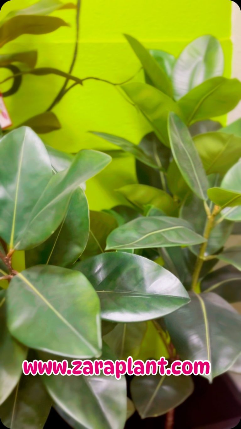 Instagram-www.zaraplant.com zaraplant flores plantas artificiales