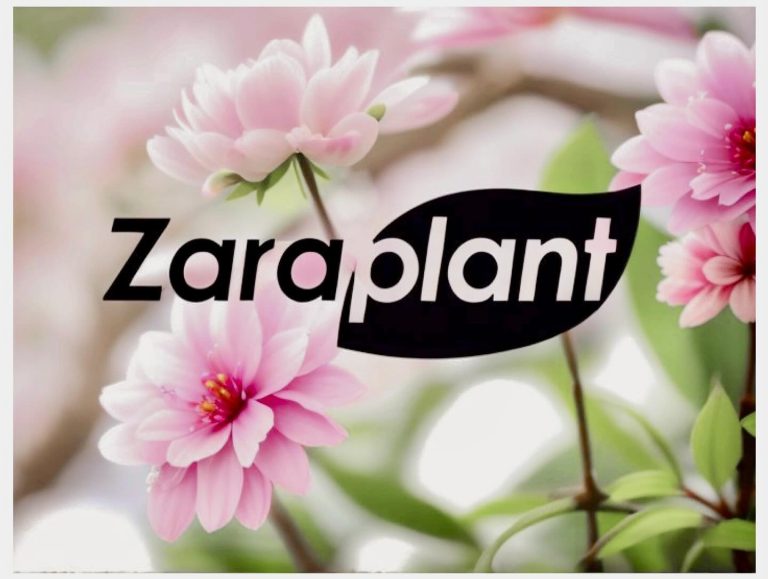 Instagram-Entra en nuestra web y descubre nuestra fantástica colección REAL TOUCH zaraplant flores plantas artificiales