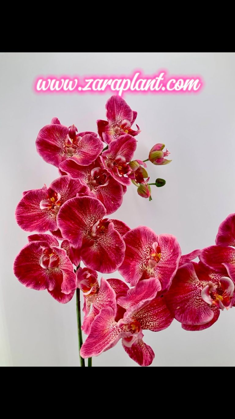 Instagram-🌞¡Damos ya la bienvenida al verano!🐞 zaraplant flores plantas artificiales