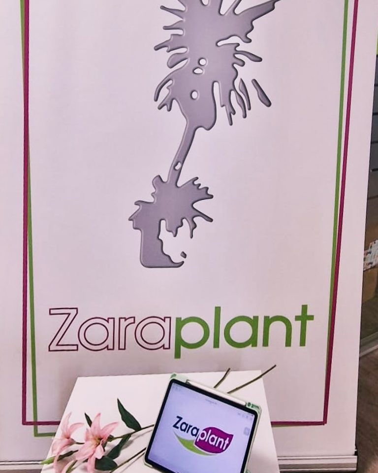 Instagram-En verano seguimos trabajando para ti ❤️🌷🌞⛱️. www.zaraplant.com zaraplant flores plantas artificiales