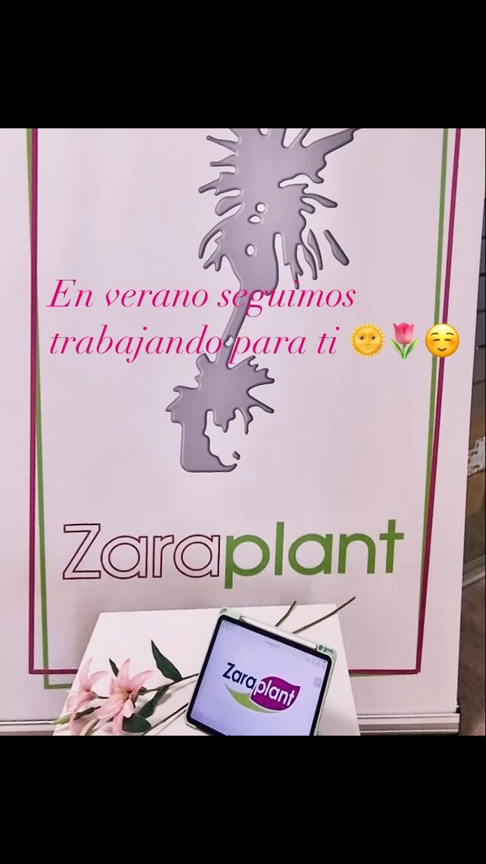 Instagram-En verano seguimos trabajando para ti 🌞🌷☺️ zaraplant flores plantas artificiales