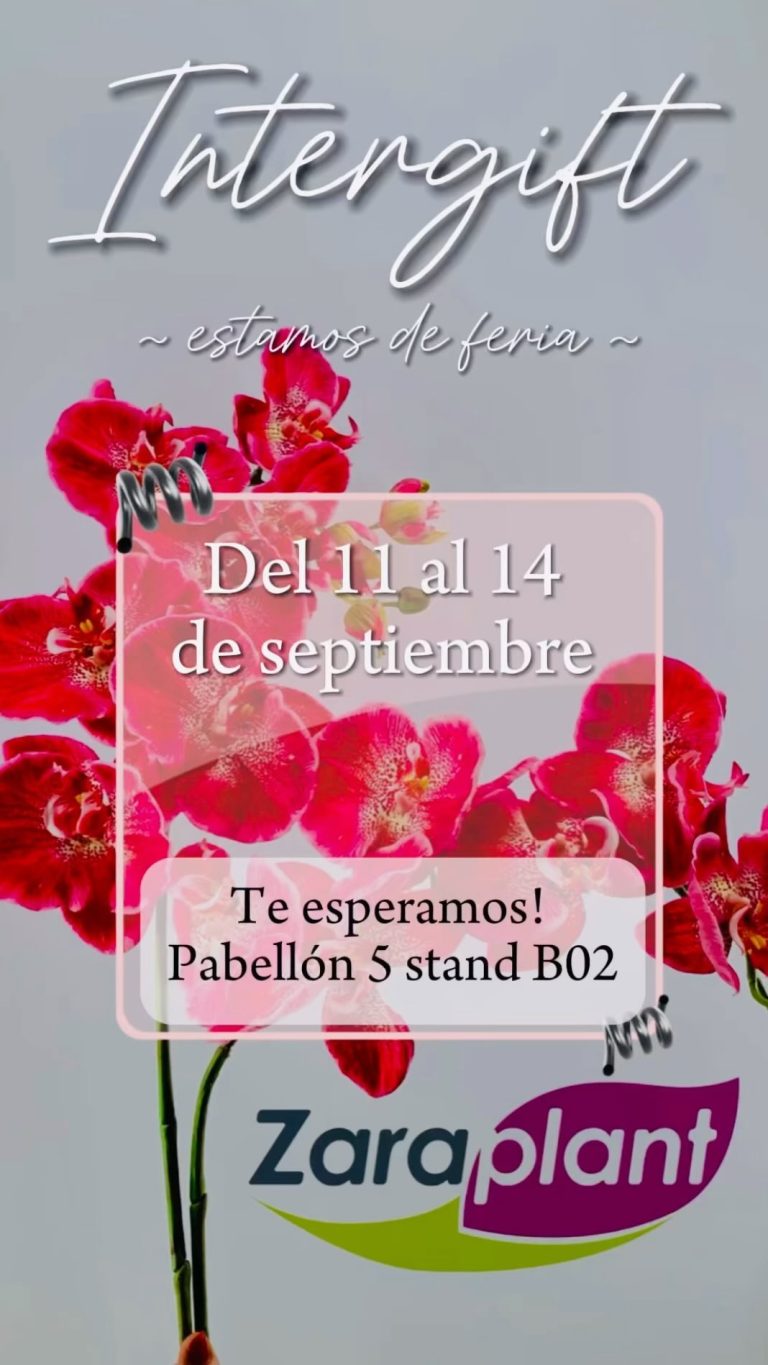 Instagram-Quedan ya menos de 24 horas para volver a reencontrarnos, para volver a sentir tu cercanía, para que admires todas y cada una de las sorpresas que tenemos preparadas y, sobretodo, con la intención de que no nos olvides y cuentes con nosotros en cualquiera de tus proyectos, fiestas y decoraciones. zaraplant flores plantas artificiales
