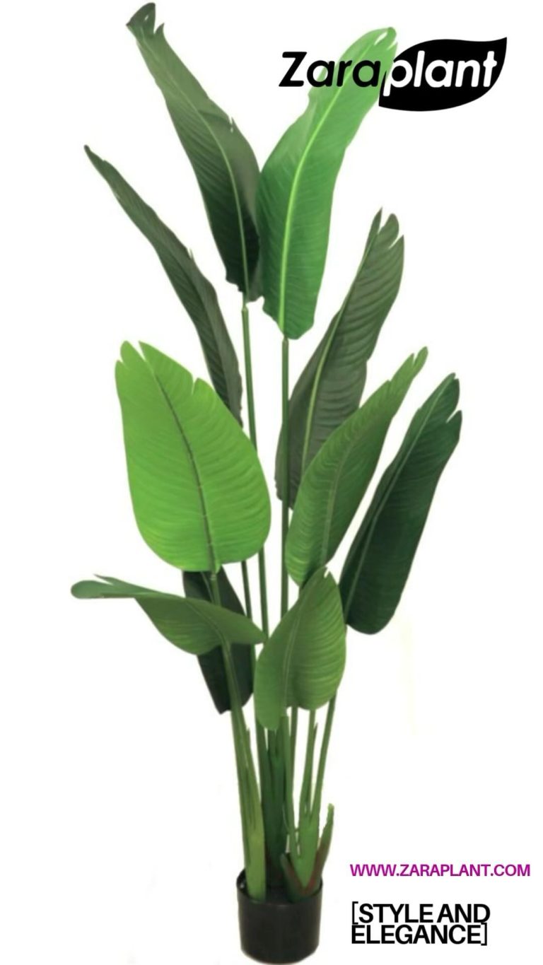 Instagram- zaraplant flores plantas artificiales