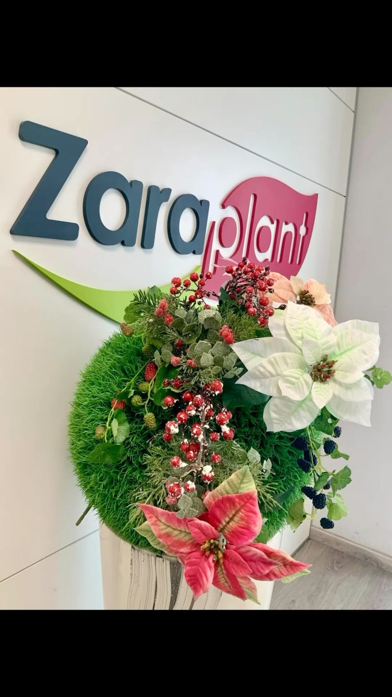 Instagram-🎄✨ ¡La Navidad ya está aquí! ✨🎄 zaraplant flores plantas artificiales