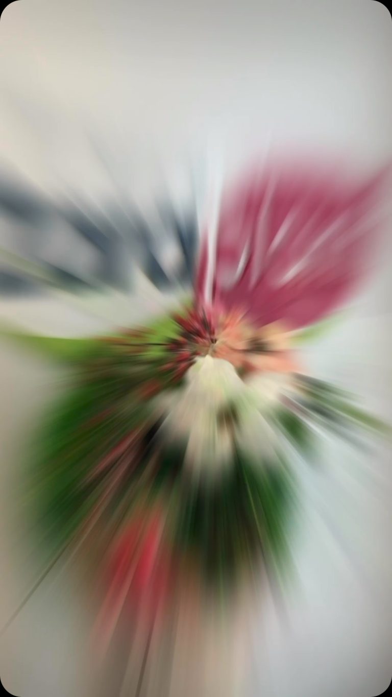 Instagram- zaraplant flores plantas artificiales