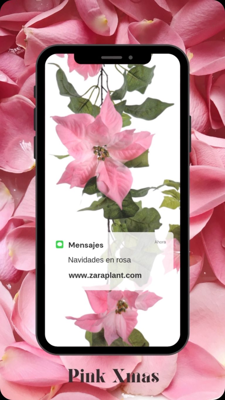 Instagram-🎄✨ ¡Descubre la magia navideña con nuestras Poinsettias artificiales rosas! ✨🎄 zaraplant flores plantas artificiales