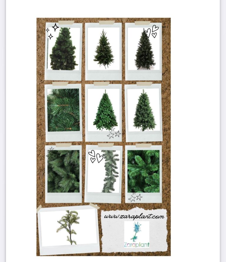 Instagram-🎄✨ ¡La magia de la Navidad comienza aquí! ✨🎄 zaraplant flores plantas artificiales