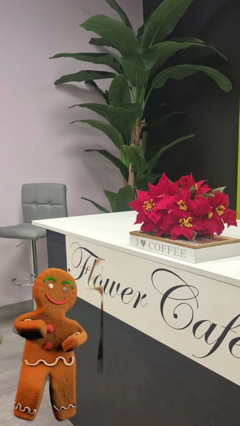 Instagram-✨🎄 Feliz Navidad de parte de Zaraplant🎄✨ zaraplant flores plantas artificiales