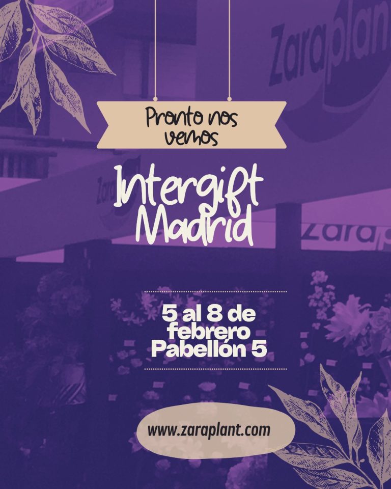Instagram-Ya queda muy poco para encontrarnos de nuevo... estamos emocionados preparando el stand para la edición de Intergift de febrero de 2025. Te esperamos para que puedas ver todas nuestras novedades y productos exclusivos. Te vamos a sorprender!! zaraplant flores plantas artificiales