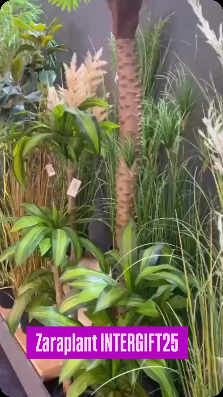 Instagram-¡Seguimos compartiendo más de nuestro stand en Intergift! zaraplant flores plantas artificiales