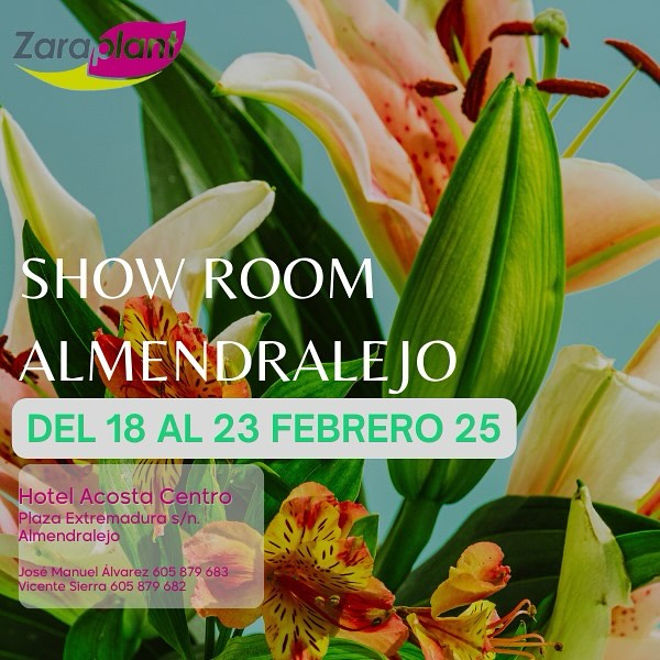 Instagram-🌿✨ ¡Te invitamos a nuestro próximo showroom en Almendralejo! ✨🌿 zaraplant flores plantas artificiales