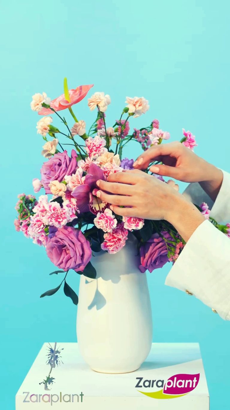 Instagram-Descubre nuestra tienda online para PROFESIONALES de plantas y flores artificiales de alta calidad. Diseñadas para brindar belleza duradera y un ambiente sofisticado, nuestras colecciones combinan realismo y estilo. zaraplant flores plantas artificiales