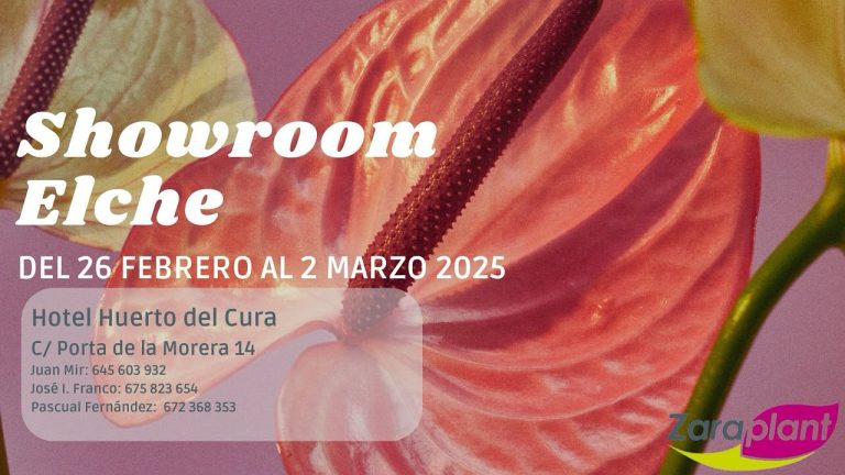 Instagram-Y ya tenemos el próximo Showroom. zaraplant flores plantas artificiales