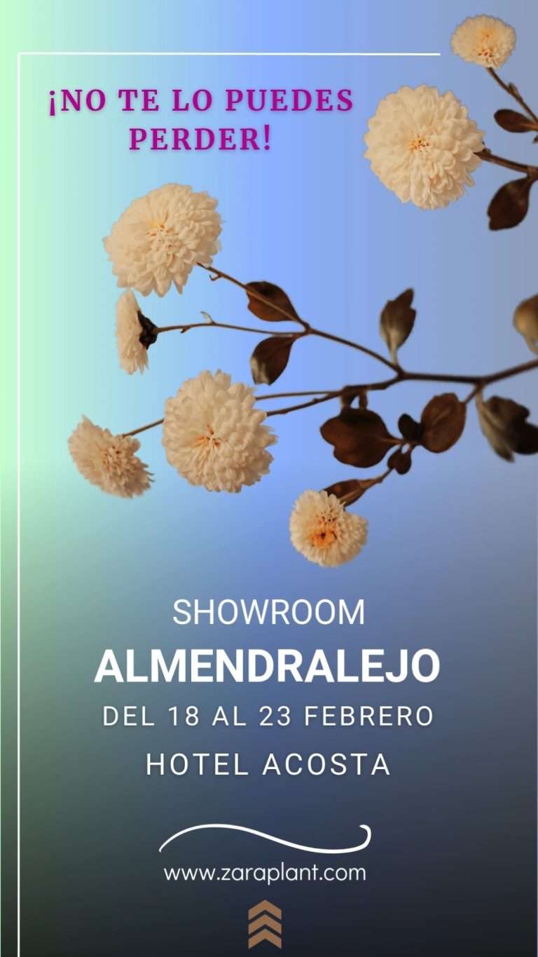 Instagram-¡Ya ha comenzado nuestro showroom en Almendralejo! zaraplant flores plantas artificiales