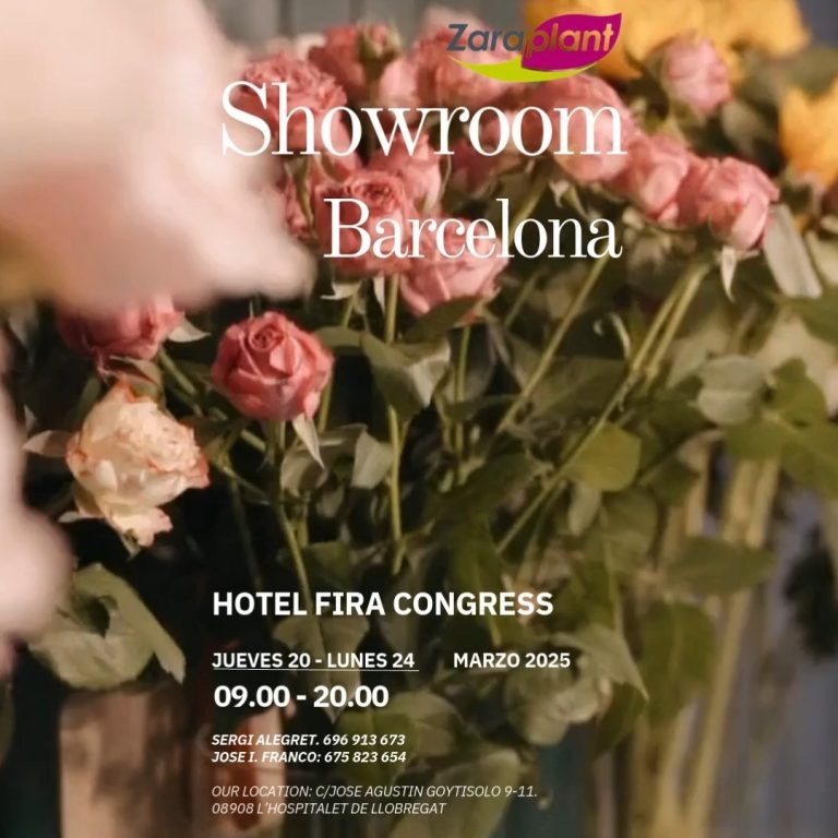 Instagram-Y ya tenemos el próximo Showroom. zaraplant flores plantas artificiales