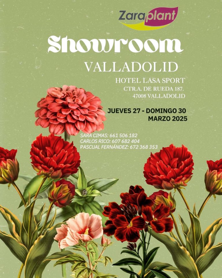 Instagram-🌿✨ ¡Te invitamos a nuestro próximo showroom en Valladolid! ✨🌿 zaraplant flores plantas artificiales