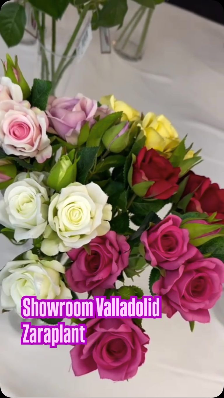 Instagram-Ya ha comenzado nuestro showroom en Valladolid! zaraplant flores plantas artificiales