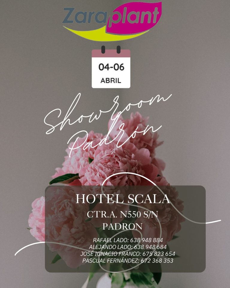 Instagram-🌿✨ ¡Te invitamos a nuestro próximo showroom en Padrón! ✨🌿 zaraplant flores plantas artificiales