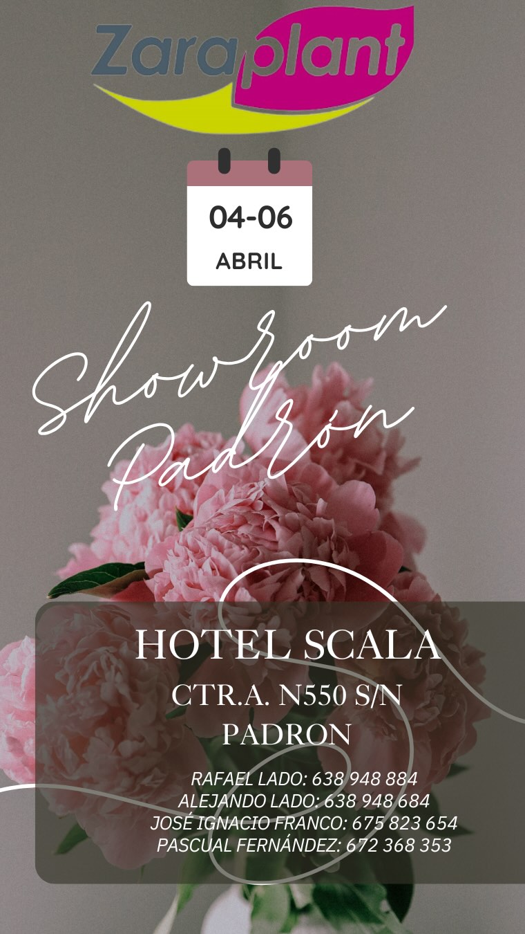 Instagram-¡Ya ha comenzado nuestro showroom en Padrón! zaraplant flores plantas artificiales