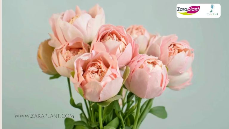 Instagram-Si pensabas que las flores y plantas artificiales no podían parecer naturales… ¡prepárate para sorprenderte! 🌿🌸 zaraplant flores plantas artificiales