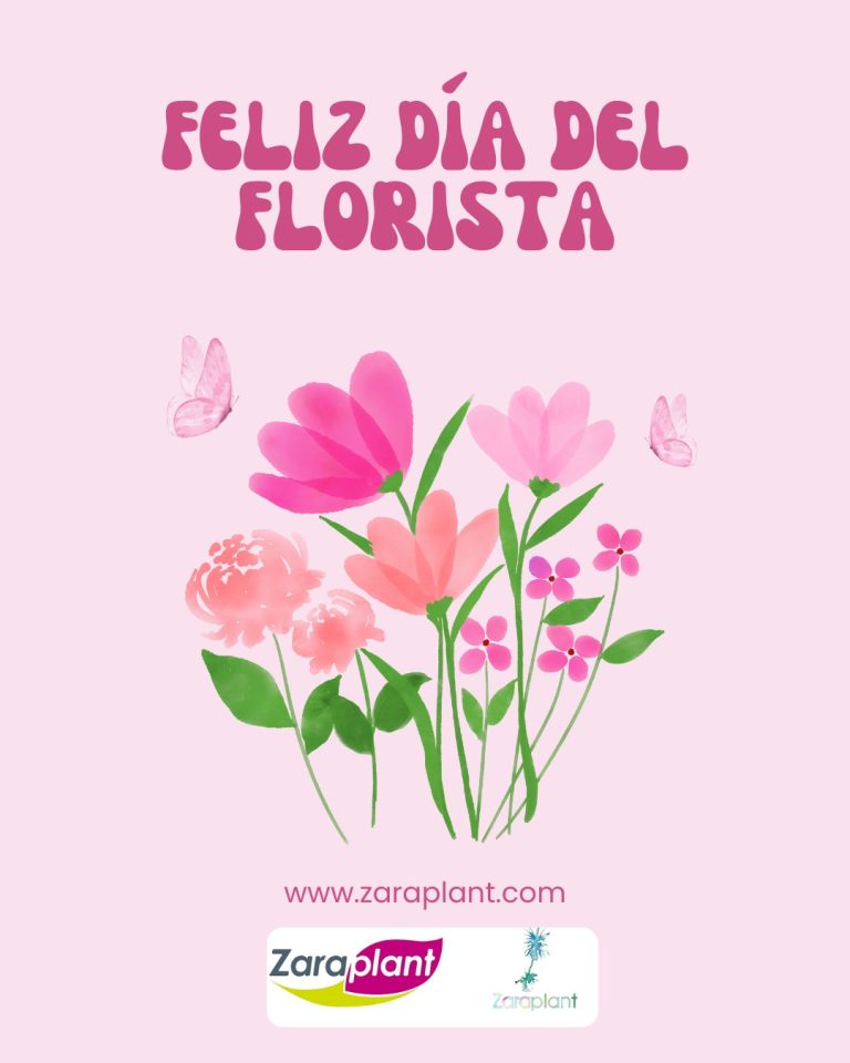 Instagram-🌸✨ Feliz Día del Florista ✨🌸 zaraplant flores plantas artificiales