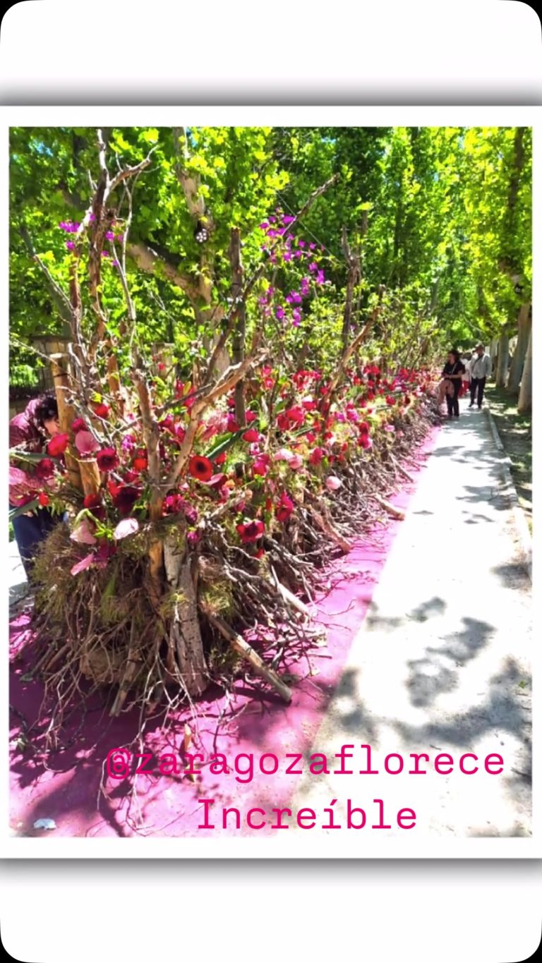 Instagram-Enamorados de todo lo que se puede disfrutar en quinta edición del festival floral de la ciudad, Zaragoza Florece, en el Parque Grande de José Antonio Labordeta. zaraplant flores plantas artificiales