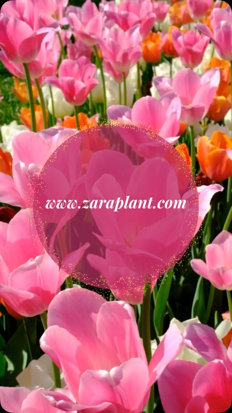 Instagram- zaraplant flores plantas artificiales