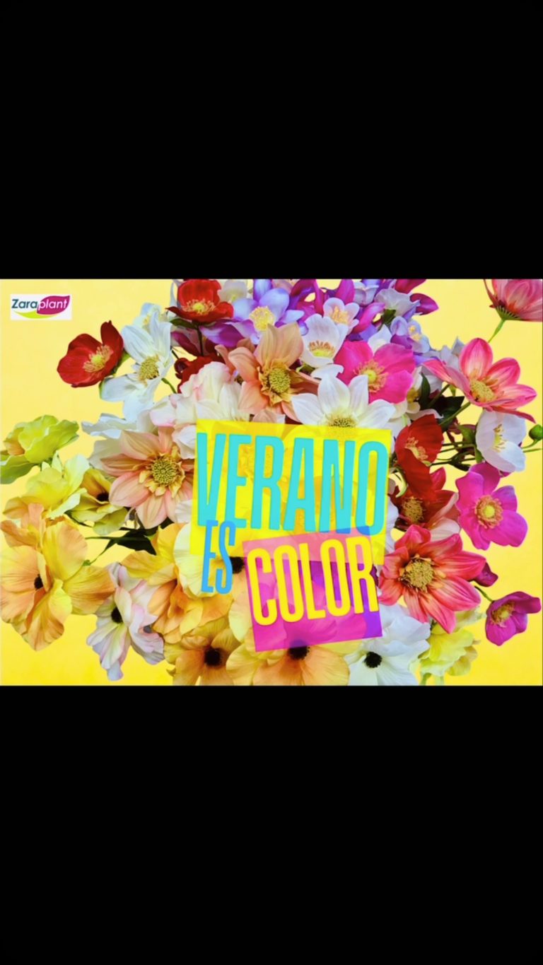 Instagram- zaraplant flores plantas artificiales