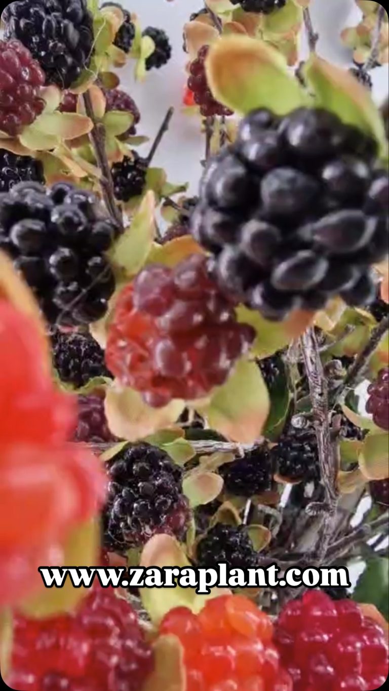 Instagram-¿Reales o decorativas? zaraplant flores plantas artificiales
