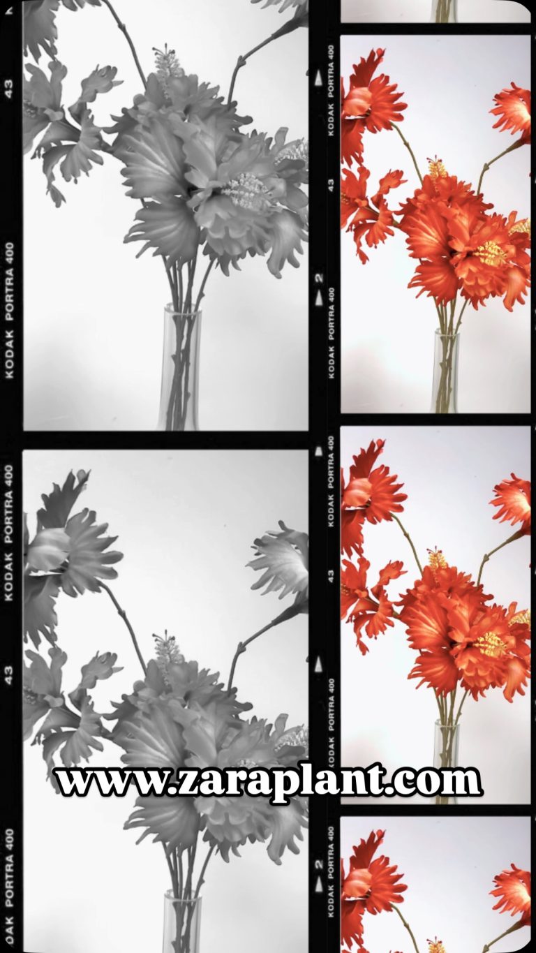 Instagram-Descubre la Revolución de la Naturaleza Artificial. Plantas y flores artificiales únicas. zaraplant flores plantas artificiales