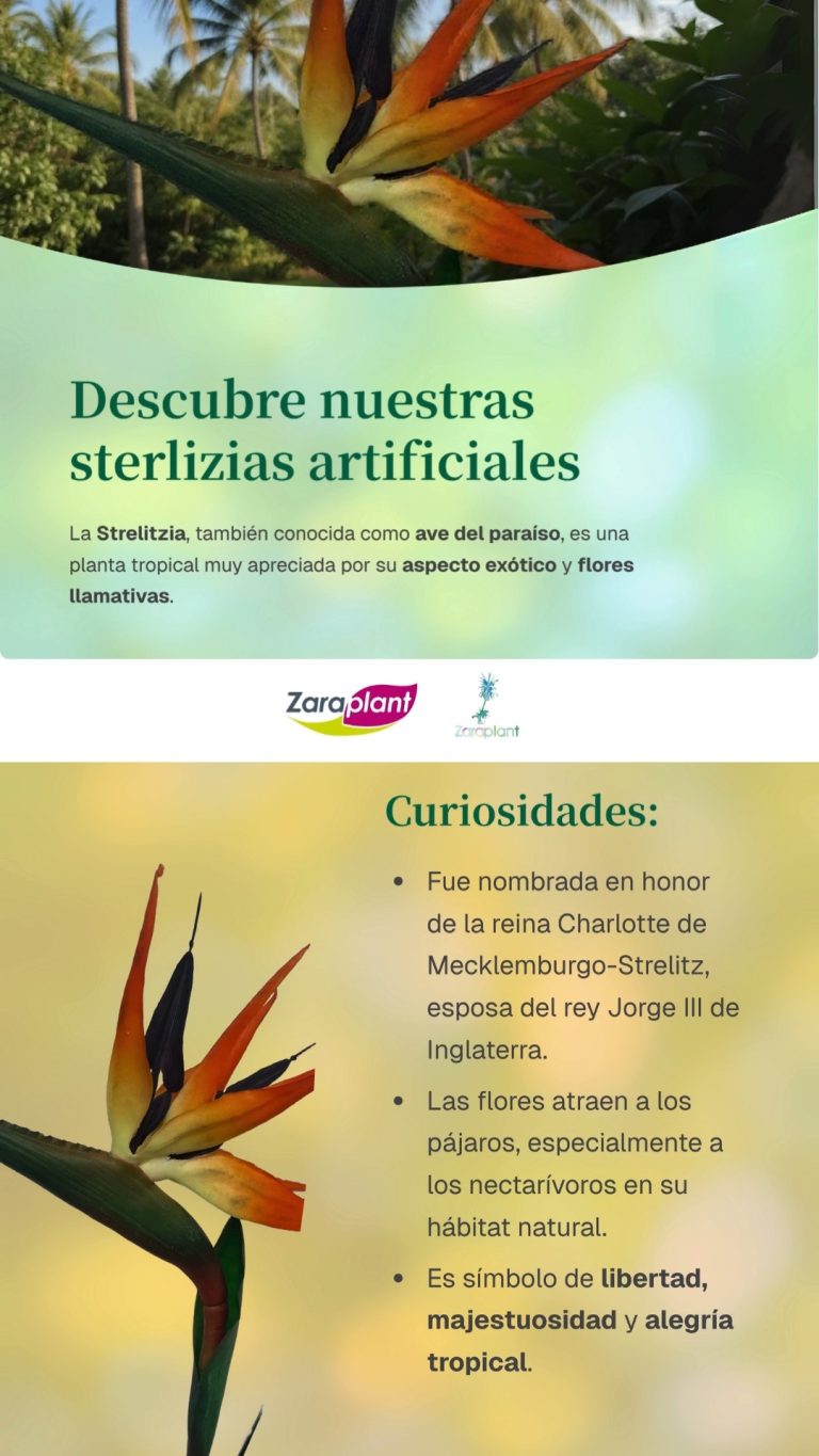 Instagram-🌿✨ Exótica. Elegante. Atemporal. zaraplant flores plantas artificiales