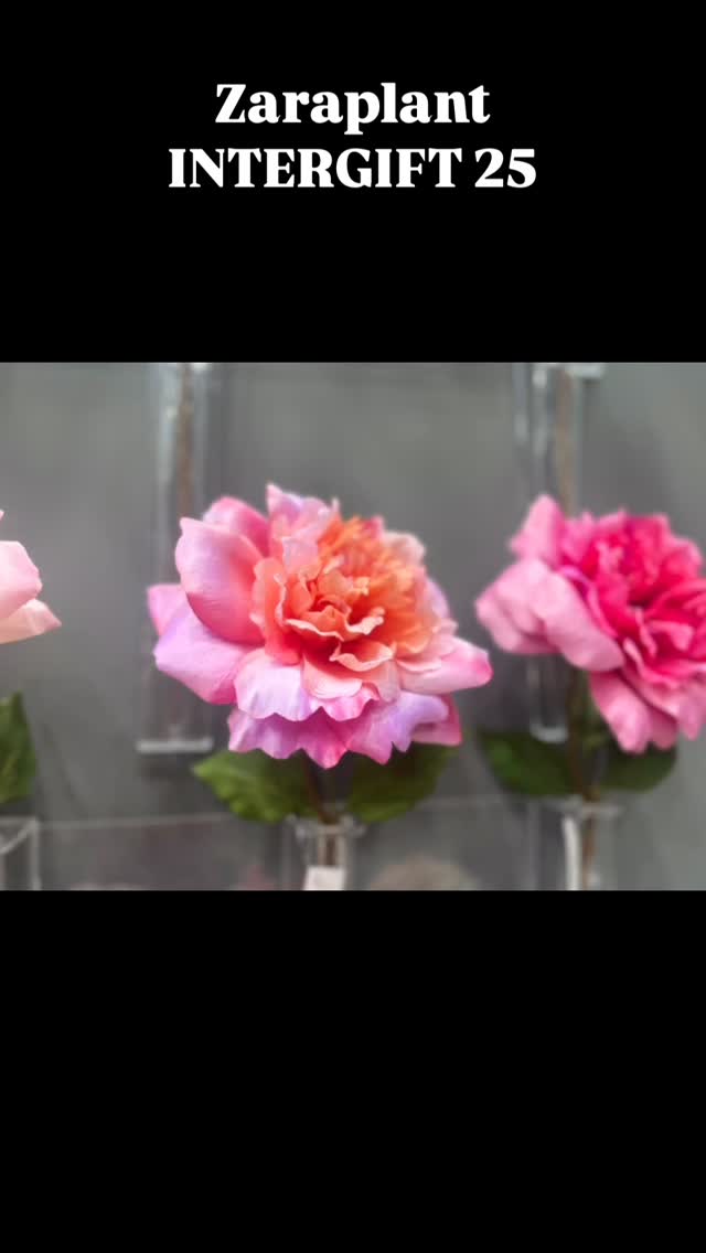 Instagram-Zaraplant zaraplant flores plantas artificiales