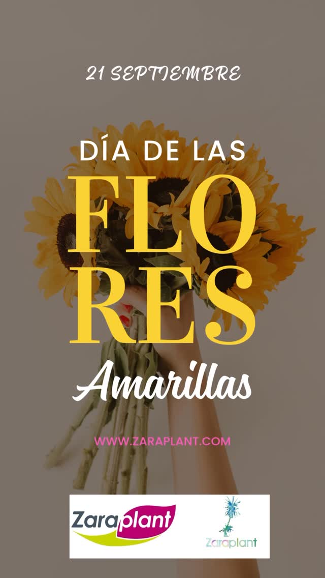 Instagram- zaraplant flores plantas artificiales