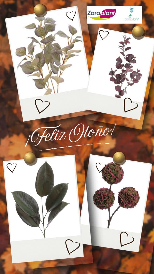 Instagram-🍂✨ ¡Bienvenido, otoño! ✨🍂 zaraplant flores plantas artificiales