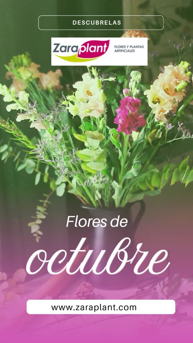 Instagram- zaraplant flores plantas artificiales