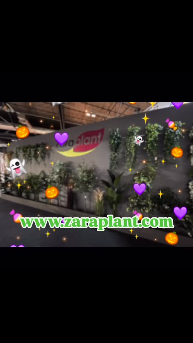Instagram-🧟‍♂️ ¡Ni los zombis pueden con ellas! Nuestras plantas resisten hasta un **apocalipsis zombi**. 💀 zaraplant flores plantas artificiales