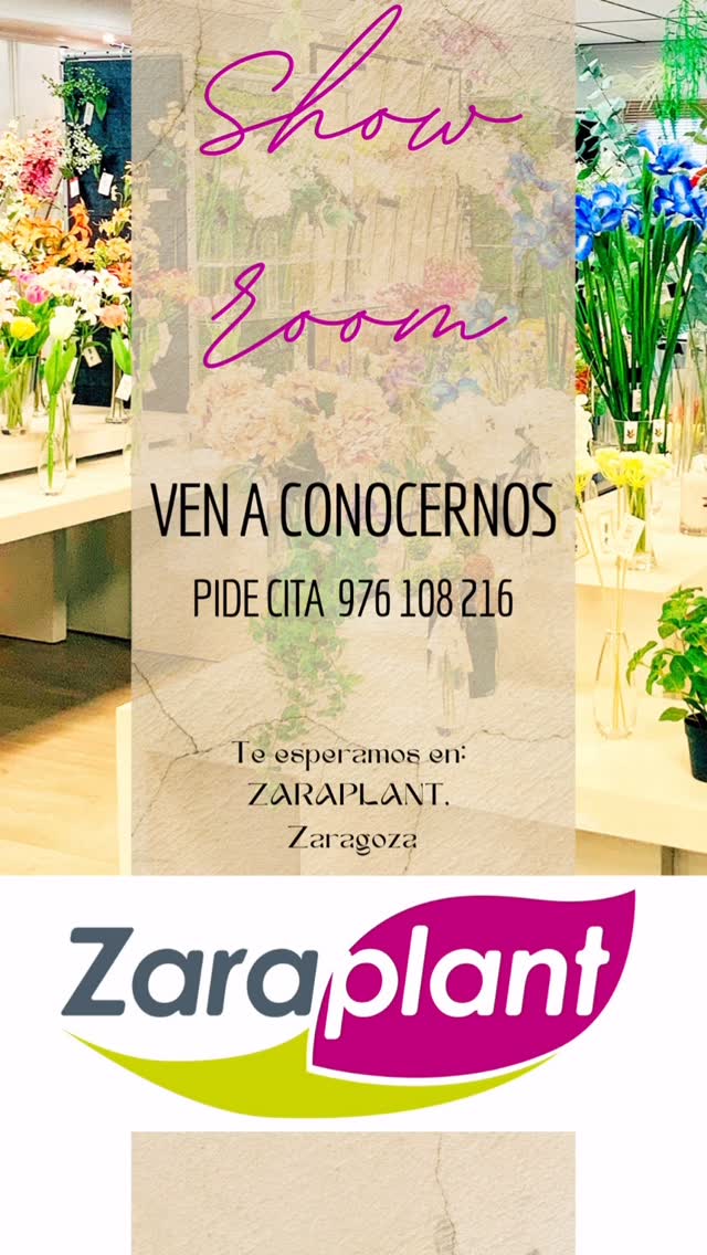Instagram-¿Listo para dejarte inspirar? zaraplant flores plantas artificiales