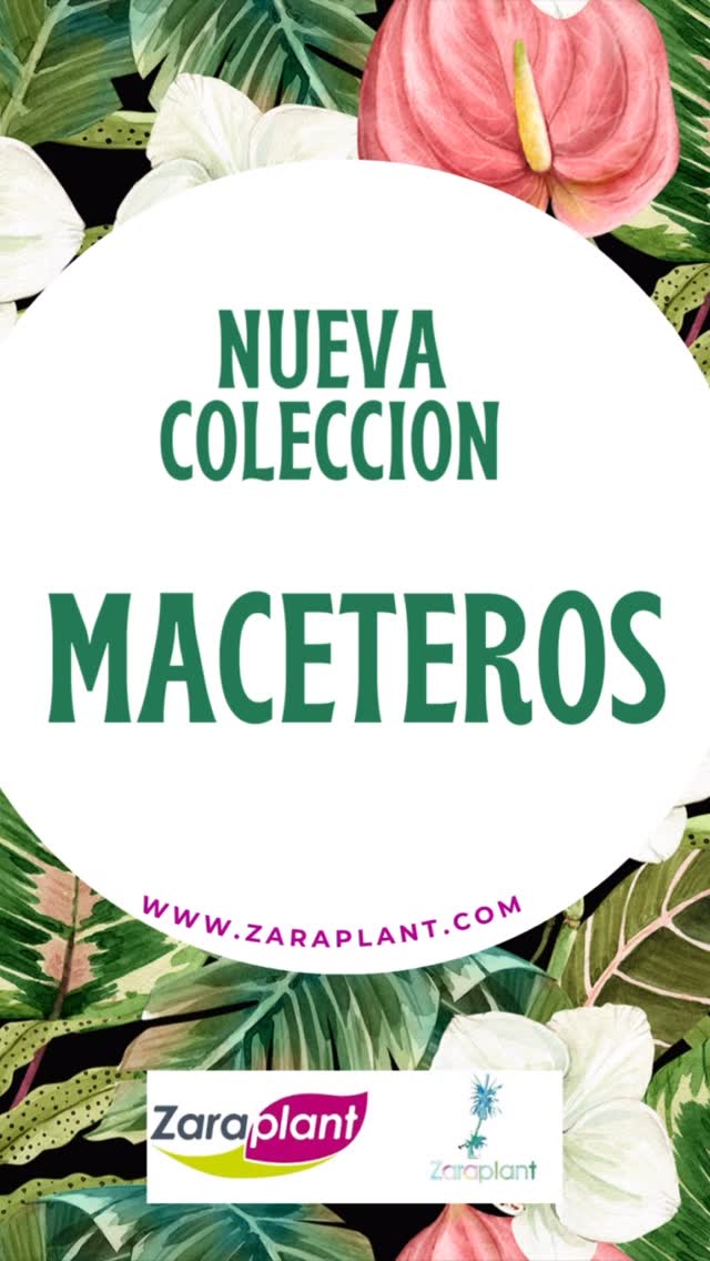 Instagram- zaraplant flores plantas artificiales