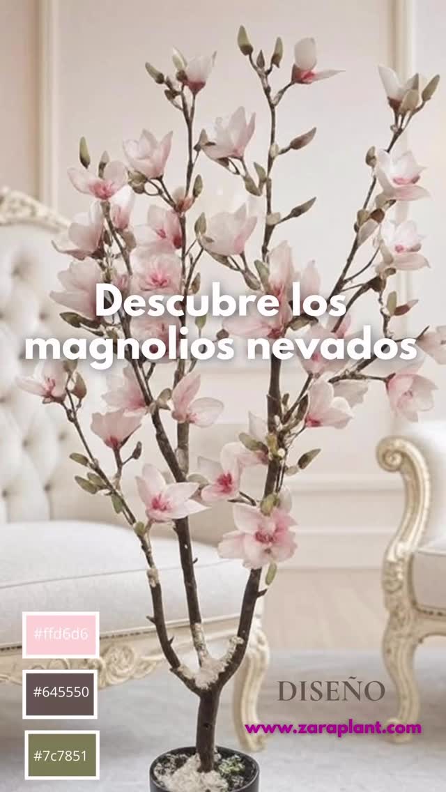 Instagram-✨ Descubre nuestros Magnolios Nevados Artificiales ✨ zaraplant flores plantas artificiales