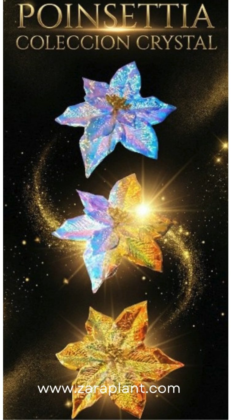 Instagram-¡Brilla como nunca esta Navidad con la Poinsettia Colección Crystal de Zaraplant! zaraplant flores plantas artificiales
