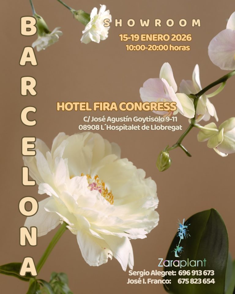 Instagram-🎉 Ya hemos arrancado nuestra feria en Barcelona, segundo día y estamos deseando verte visitando la exposición. Acércate y descubre todo lo que tenemos preparado para ti. zaraplant flores plantas artificiales