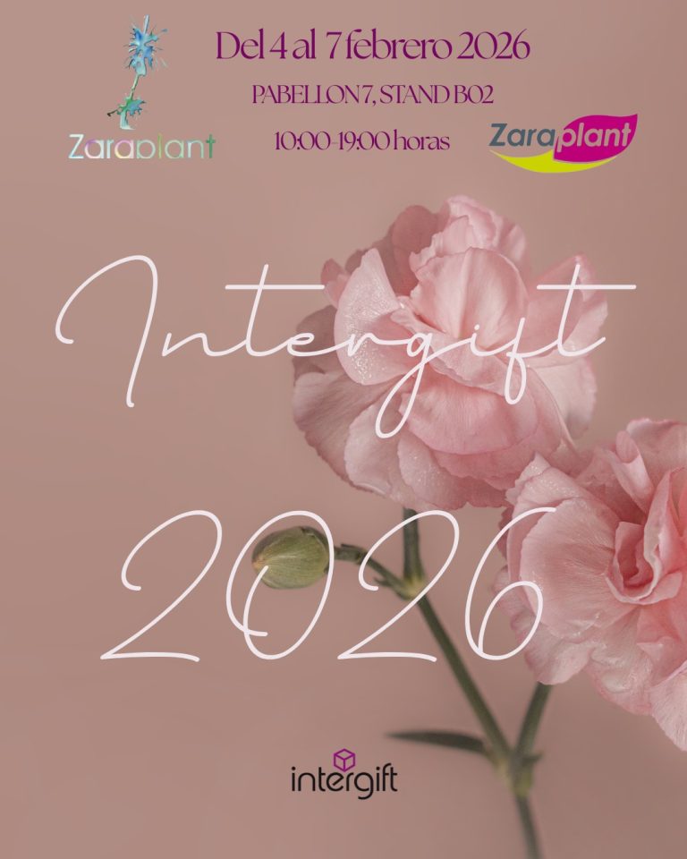 Instagram-¡Volvemos a IFEMA! 🌸✨ zaraplant flores plantas artificiales