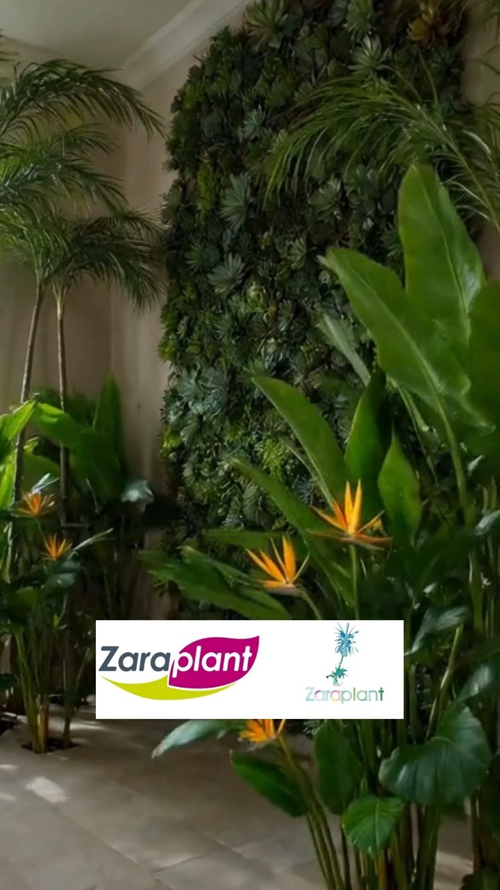 Instagram-Porque los espacios no se decoran… se sienten. zaraplant flores plantas artificiales