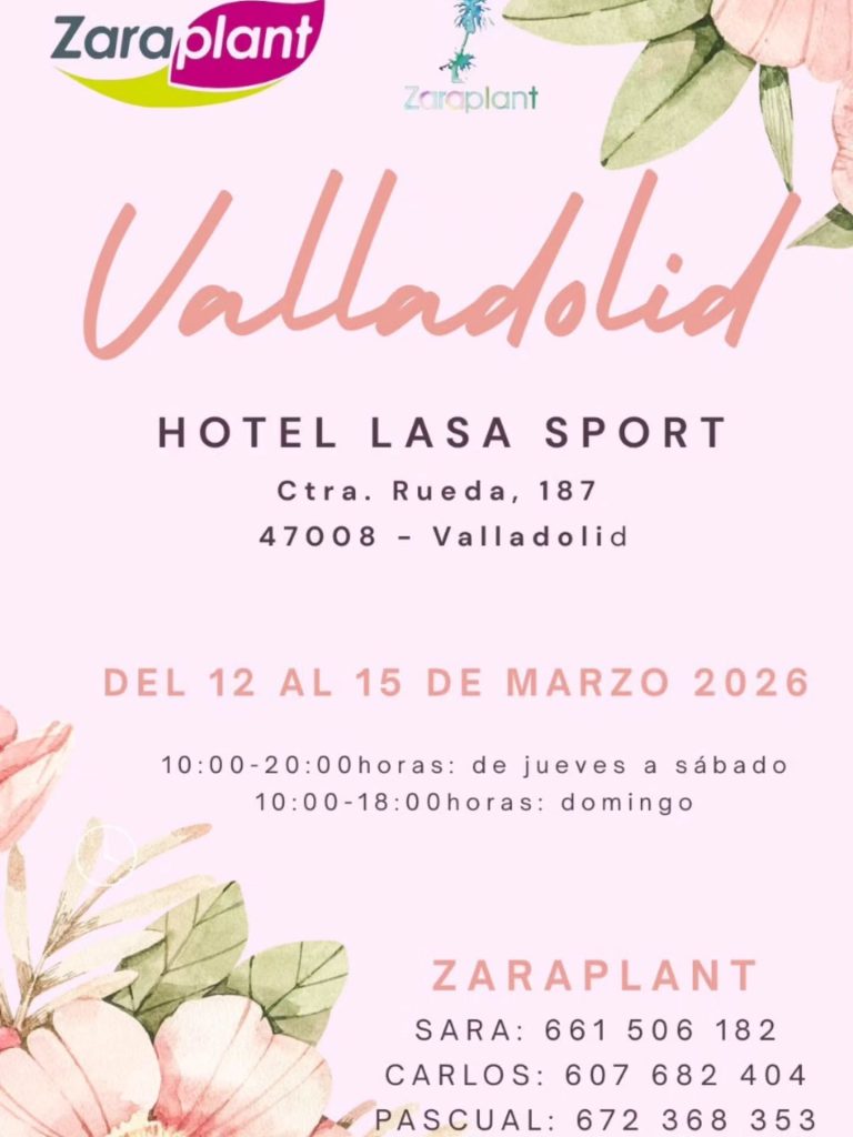 Instagram-Nuestra siguiente parada será Valladolid. La semana que viene daremos el pistoletazo de salida a nuestra exposición de Santos y Navidad, y no queremos que te lo pierdas: zaraplant flores plantas artificiales