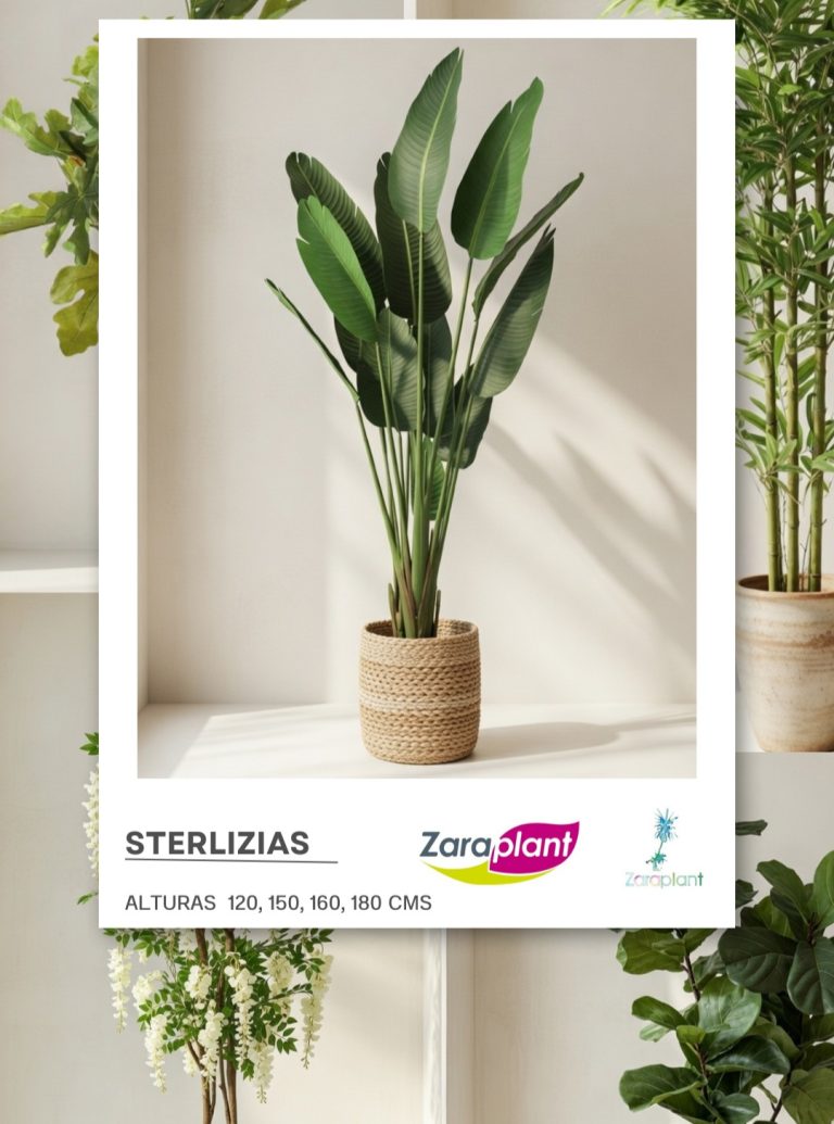 Instagram- zaraplant flores plantas artificiales