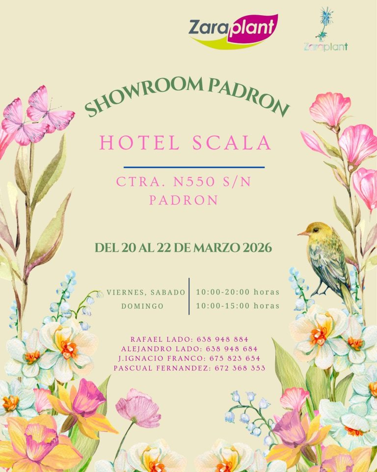 Instagram-Nuestra última parada de este año en nuestro tour de ferias y exposiciones tendrá lugar en Galicia, más concretamente, en Padrón. zaraplant flores plantas artificiales